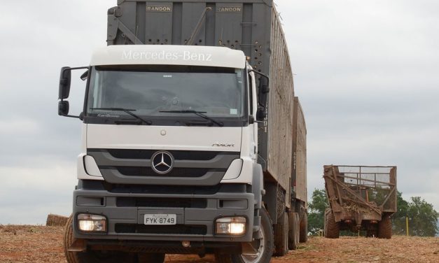 Ouro Verde compra 140 Mercedes-Benz Axor