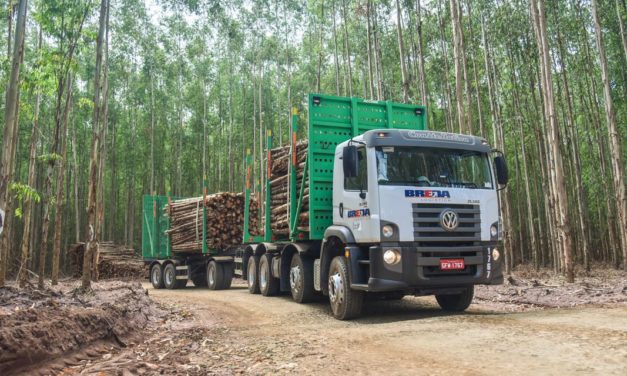 MAN desenvolve o 31.390 em versão 8×4 para o setor florestal