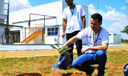 Fábrica da CAOA Montadora é certificada ISO 14001:2015