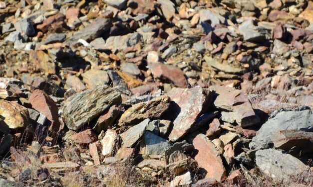 Stellantis amplia aporte em mineradora de cobre na Argentina