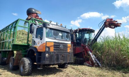 Vamos reforça frota com caminhões semiautônomos VW Agronomus