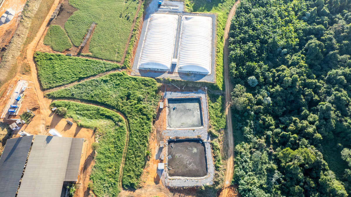 Tupy irá produzir biometano em parceria com a Seara