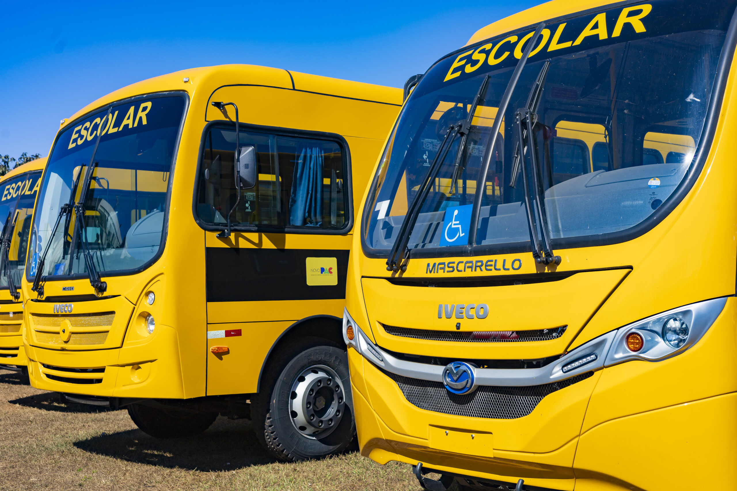 Caminho da Escola: Iveco libera mais 500 ônibus no 1º trimestre.